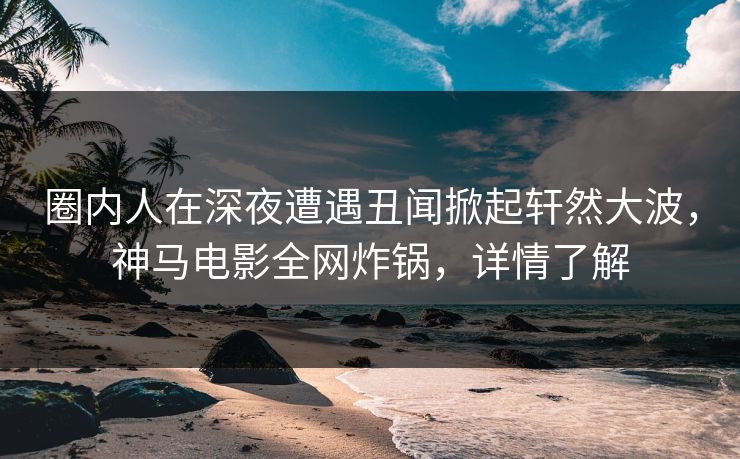 圈内人在深夜遭遇丑闻掀起轩然大波，神马电影全网炸锅，详情了解